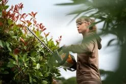 Stihl HSA 56 Akkupensasleikkuri -Piha myymälä hsa56 action xv