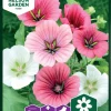 Nelson Garden Siemen Maloppi 1 Nelson Garden Siemen Maloppi -Piha myymälä 00k RQf5qR9Avt qRvL6QL