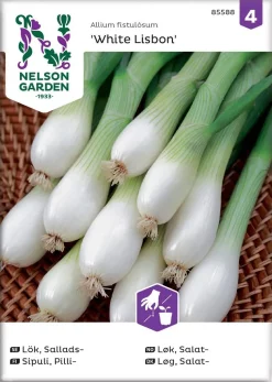 Nelson Garden Siemen Sipuli, Pilli-, White Lisbon