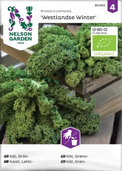 Nelson Garden Siemen Kaali, Lehti-, Westlandse Winter, Luomu