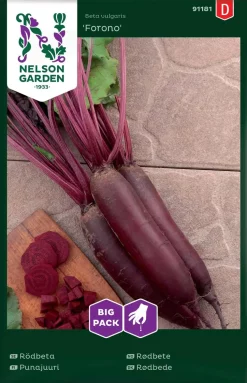 Nelson Garden Siemen Punajuuri, Forono, Pitkä, Big Pack