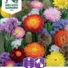 Nelson Garden Siemen Seos, Kuivakukka- -Piha myymälä 0XcMNEmE4yIBzxhPWxneIV