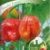 Nelson Garden Siemen Paprika, Chili-, Trinidad Scorpion -Piha myymälä 0awWgSvp4qxAG 5 sgPXfF