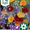 Nelson Garden Siemen Seos, Kesäkukka- -Piha myymälä 0ep8vIFqqA 91WjUKpxZ6Q