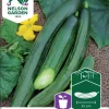 Nelson Garden Siemen Kurkku, Kasvihuone-, Bella F1 1 Nelson Garden Siemen Kurkku, Kasvihuone-, Bella F1 -Piha myymälä 0mjrVDJdK9d8d9j3fZs Y