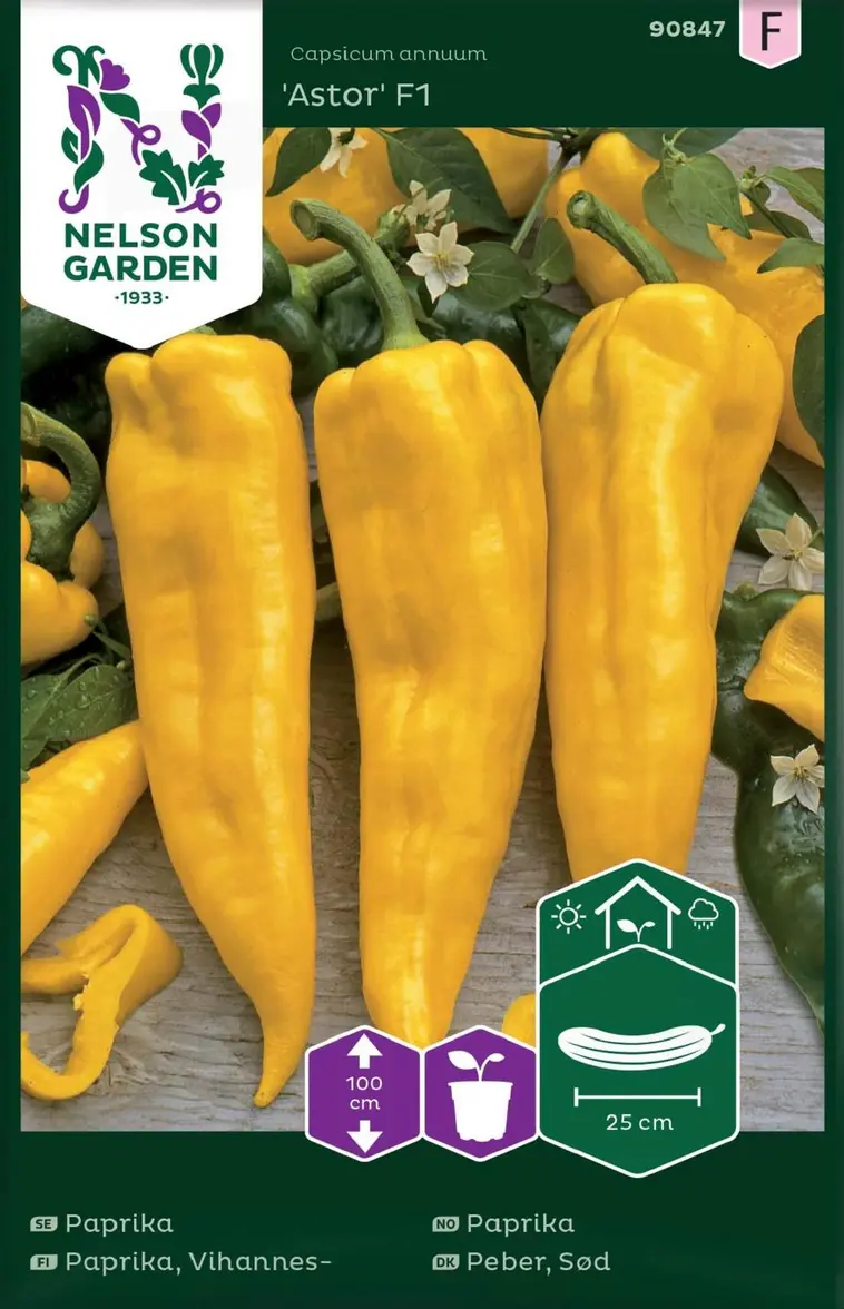 Nelson Garden Siemen Paprika, Vihannes-, Astor F1 3 Nelson Garden Siemen Paprika, Vihannes-, Astor F1