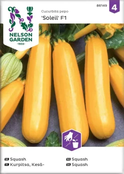 Nelson Garden Siemen Kurpitsa, Kesä-, Soleil F1