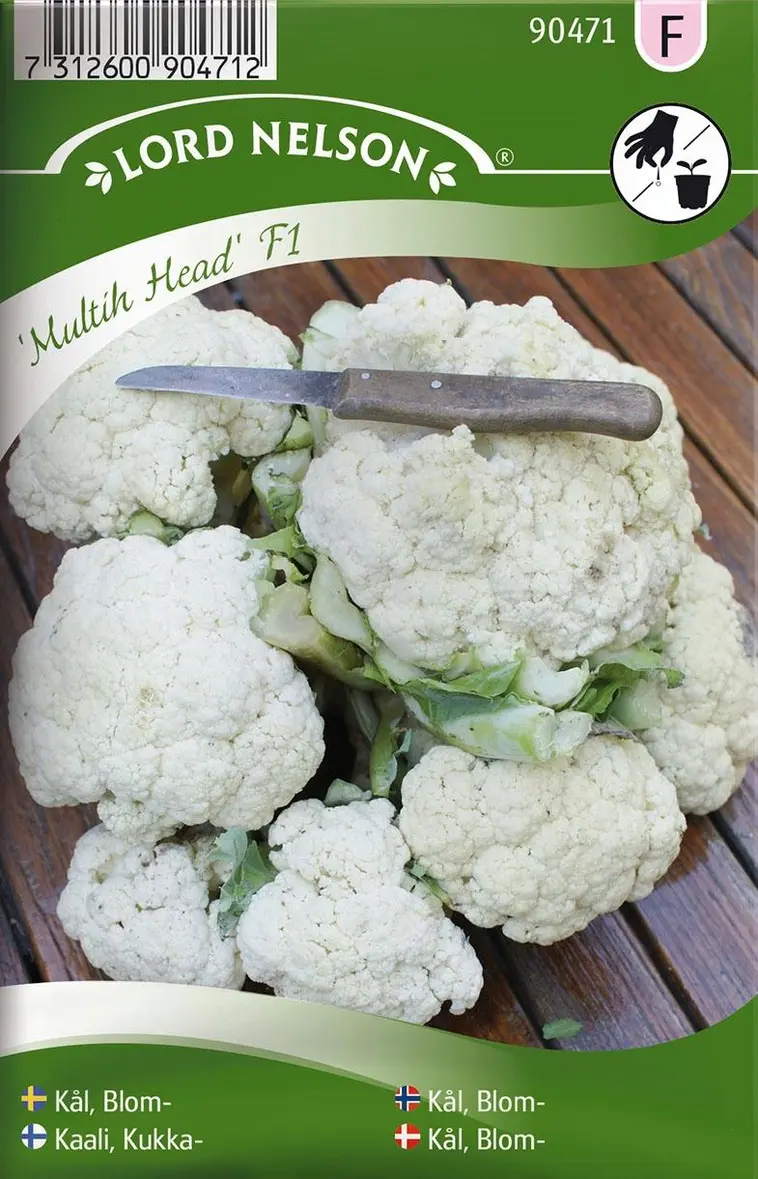 Nelson Garden Siemen Kaali, Kukka-, Multih Head F1 3 Nelson Garden Siemen Kaali, Kukka-, Multih Head F1
