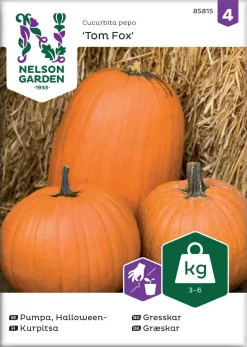 Nelson Garden Siemen Kurpitsa, Tom Fox