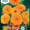 Nelson Garden Siemen Kehäkukka, Tarha-, Pacific Beauty -Piha myymälä 1G2He0gSaTL8hTW7kUlF3T