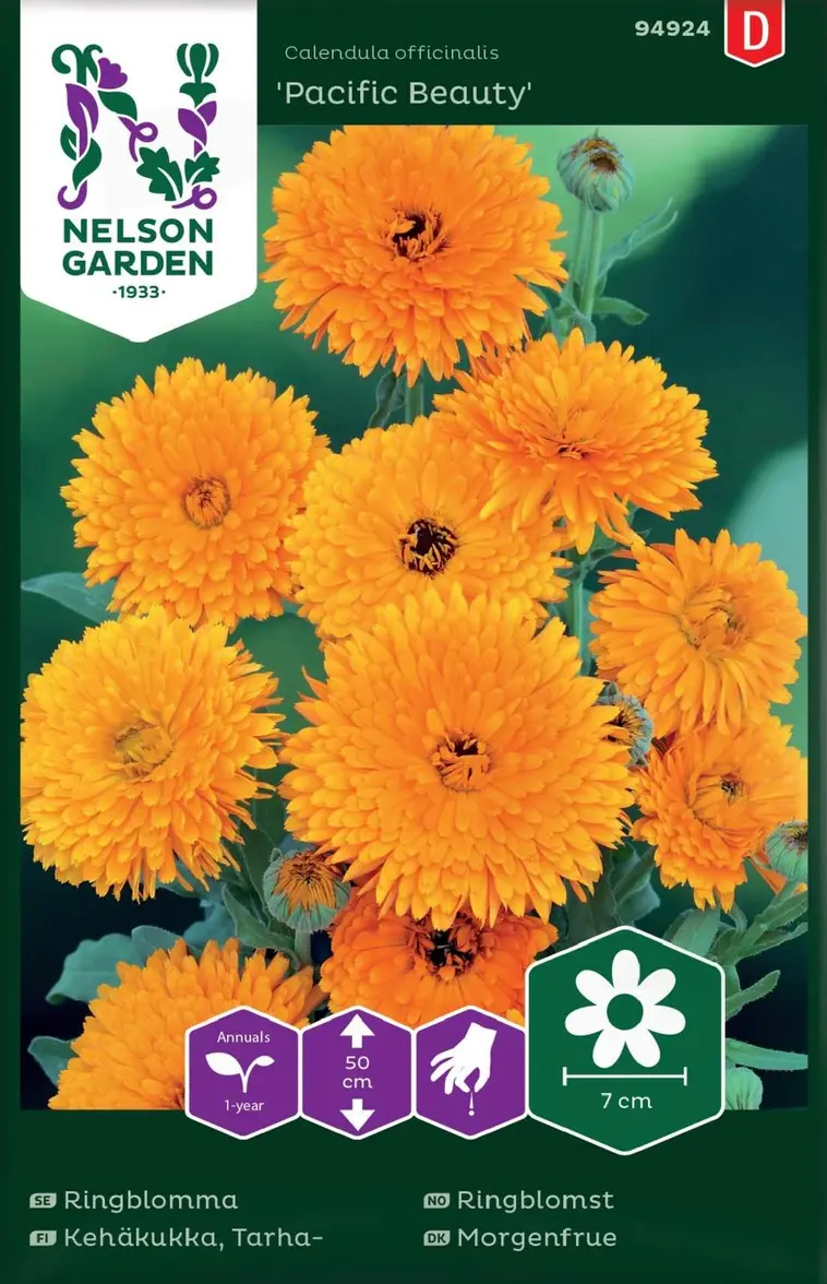 Nelson Garden Siemen Kehäkukka, Tarha-, Pacific Beauty 3 Nelson Garden Siemen Kehäkukka, Tarha-, Pacific Beauty