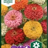 Nelson Garden Siemen Tsinnia, Iso-, Väriseos -Piha myymälä 1kw HSu3KZg8npBZvbKJZ8