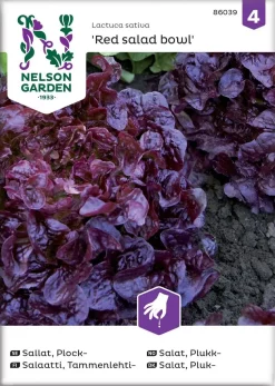 Nelson Garden Siemen Salaatti, Tammenlehti-, Red Salad Bowl