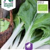 Nelson Garden Siemen Mangoldi, Lehti-, Whity, Luomu -Piha myymälä 273cR39jqWgBbXKFk4g8O1