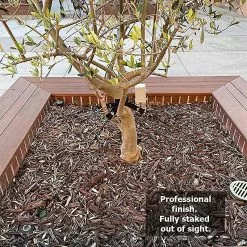 Cumdel Plant Support Anchor Kit Durable Garden Plants Fixing Stakes Suitable For Outdoor Courtyard Balcony 9 Cumdel Plant Support Anchor Kit Durable Garden Plants Fixing Stakes Suitable For Outdoor Courtyard Balcony -Piha myymälä 277597947 max