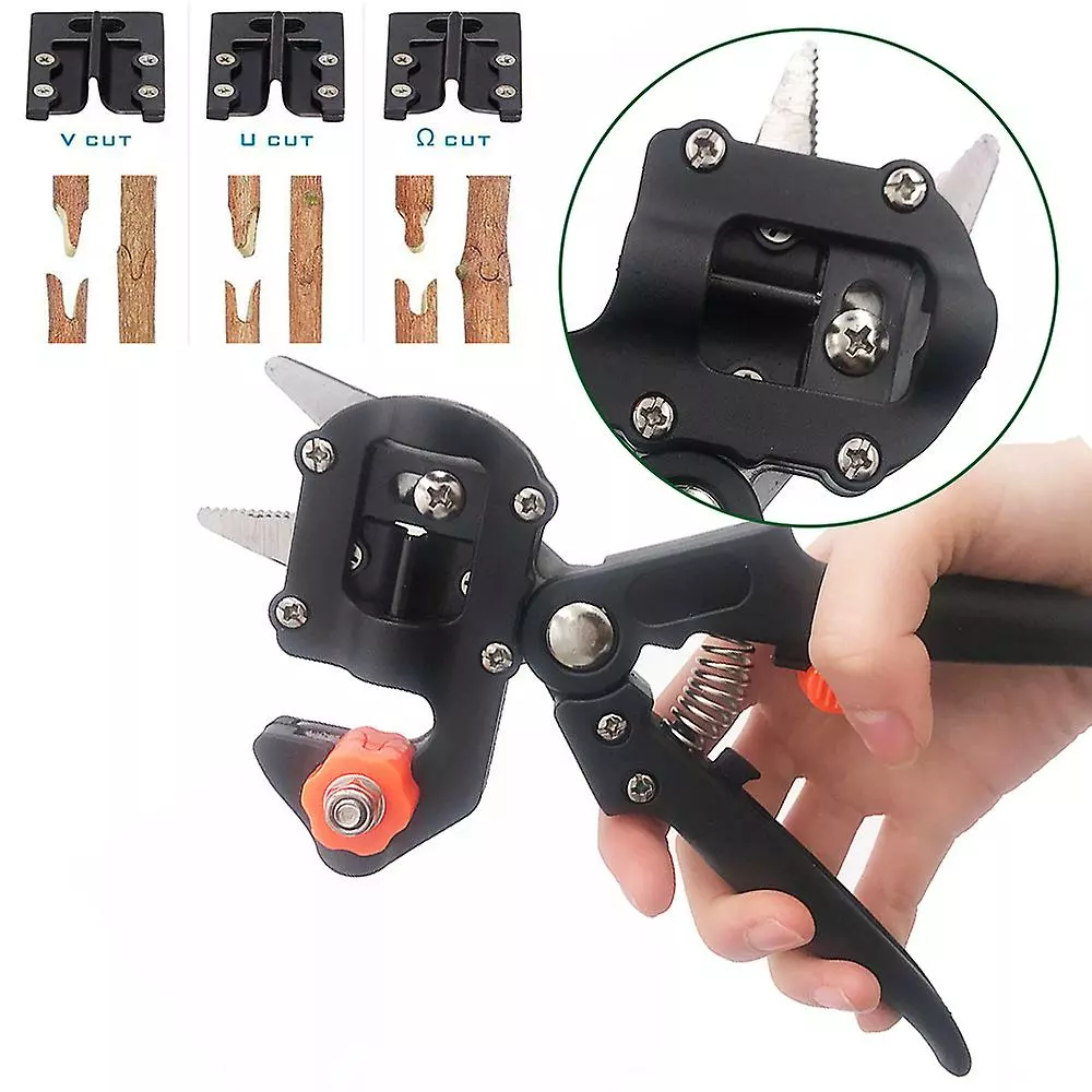 Cumdel Grafting Pruner Garden Grafting Tool Professional Branch Cutter Secateur Pruning Plant Shears Boxes 5 Cumdel Grafting Pruner Garden Grafting Tool Professional Branch Cutter Secateur Pruning Plant Shears Boxes - Image 3