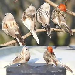 Cumdel Simulated Sparrow Ornament Realistic Foam Birds Handicraft Decorative Props For Home Garden -Piha myymälä 277604737 max