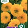 Nelson Garden Siemen Auringonkukka, Iso-, Sungold -Piha myymälä 28lQNhNyqJr8EPvQKXDuII