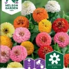 Nelson Garden Siemen Tsinnia, Iso-, Sunbow, Väriseos -Piha myymälä 2J9QPpqqqhj82te0qD Hl3