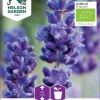 Nelson Garden Siemen Laventeli, Tähkä-, Luomu -Piha myymälä 2Vaz6xqSKnfAP3JCMLJxvw