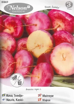 Nelson Garden Siemen Nauris, Kaski-, Enon Kanta