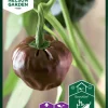 Nelson Garden Siemen Paprika, Chili-, Chiluacle Negro -Piha myymälä 2h8Jl0jXa7Y9UAZP2NYuGA
