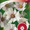 Nelson Garden Siemen Kosmoskukka, Puna-, Daydream 2 Nelson Garden Siemen Kosmoskukka, Puna-, Daydream -Piha myymälä 2rH0P0KPKt2AXrkffXOyTN