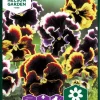 Nelson Garden Siemen Orvokki, Tarha-, Rococo, Väriseos 2 Nelson Garden Siemen Orvokki, Tarha-, Rococo, Väriseos -Piha myymälä 2wfcCykGqrN8x7VoksyzA0