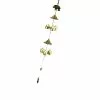 Toyvian 1pc Wind Chime Wind Bells Hanging Pendant Home Decoration Aeolian Bells Household Wind Chime For Home Garden 1 Toyvian 1pc Wind Chime Wind Bells Hanging Pendant Home Decoration Aeolian Bells Household Wind Chime For Home Garden -Piha myymälä 307149008 max