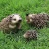 Unbranded Garden Animal Figurines - Cute Hedgehog Statuettes - Garden Sculpture - Outdoor Decorati -Piha myymälä 311065803 max