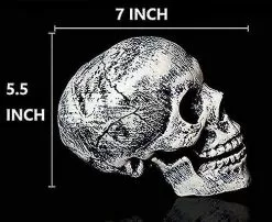 Unbranded Realistic Skeleton Stakes Halloween Decorations For Garden Lawn Stakes Haunted House -Piha myymälä 321825043 max