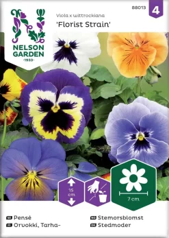 Nelson Garden Siemen Orvokki, Tarha-, Florist Strain