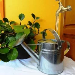 Unbranded Invisible Flowing Spout Watering Can Fountain Floating Tap Fountain For Home Garden -Piha myymälä 328299799 max