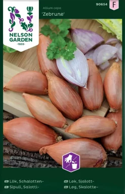 Nelson Garden Siemen Sipuli, Salotti-, Zebrune, Pitkä
