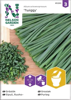 Nelson Garden Siemen Sipuli, Ruoho-, Tavallinen, Twiggy