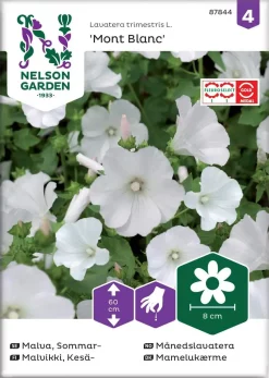 Nelson Garden Siemen Malvikki, Kesä-, Mont Blanc