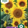 Nelson Garden Siemen Auringonkukka, Kääpiö-, Sunspot -Piha myymälä 3UcApSPiKUE9t28i5PsxBY