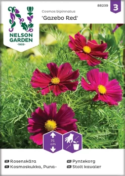 Nelson Garden Kosmoskukka, Puna-, Gazebo Red