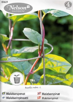 Nelson Garden Siemen Malabarinpinaatti 