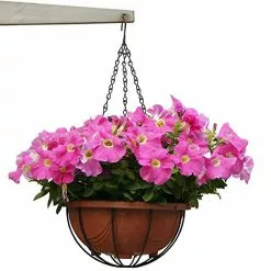 Unbranded 15.7 Inch Garden Plant Pot Bird Feeder Basket Chain Long Hanging -Piha myymälä 442804792 max