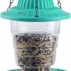 Unbranded Wild , Hanging Bird Feeder For Outside, Collapsible Premium Plastic Small Bird Feeder , Garden Decoration Yard A -Piha myymälä 446617469 max