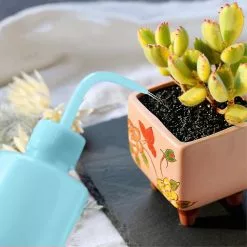 Unbranded 500 Ml Plastic Squeeze Type Watering Bottle Garden Tools Light Blue -Piha myymälä 465055227 max