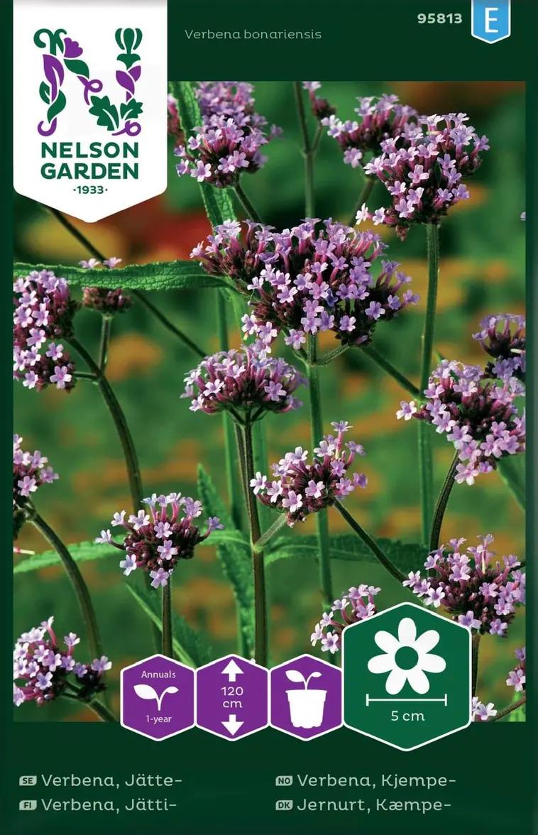 Nelson Garden Siemen Verbena, Jätti- 3 Nelson Garden Siemen Verbena, Jätti-