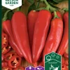 Nelson Garden Siemen Paprika, Chili-, Piment D'Espelette -Piha myymälä 4HUTjscIaKV8Ut wm Vmxy