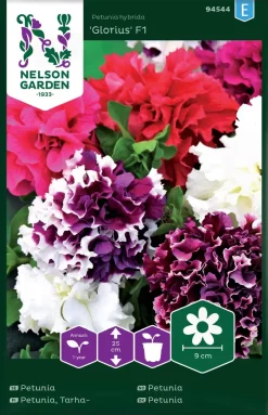 Nelson Garden Siemen Petunia,Tarha-,Glorious F1, Kerrottu
