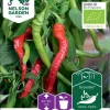Nelson Garden Siemen Paprika, Chili-, Westlandse Lange R. Luomu 1 Nelson Garden Siemen Paprika, Chili-, Westlandse Lange R. Luomu -Piha myymälä 4MQgnSinqq9AK1qhFCl3wK