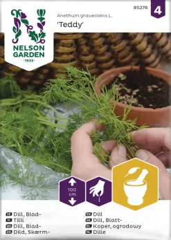 Nelson Garden Siemen Tilli, Teddy