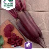 Nelson Garden Siemen Punajuuri, Forono, Pitkä 2 Nelson Garden Siemen Punajuuri, Forono, Pitkä -Piha myymälä 4i11kDBdqN 91Sce7obQd0