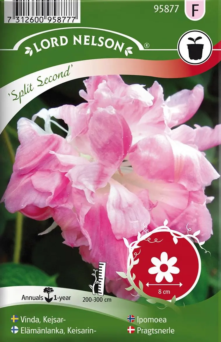 Nelson Garden Siemen Elämänlanka, Keisarin-, Split Second 3 Nelson Garden Siemen Elämänlanka, Keisarin-, Split Second