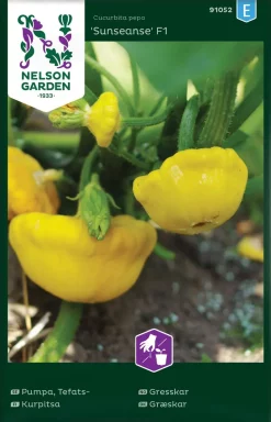 Nelson Garden Siemen Kurpitsa Sunseanse F1